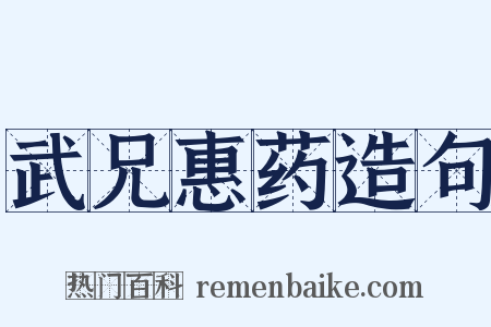 武兄惠药造句是什么意思的图片